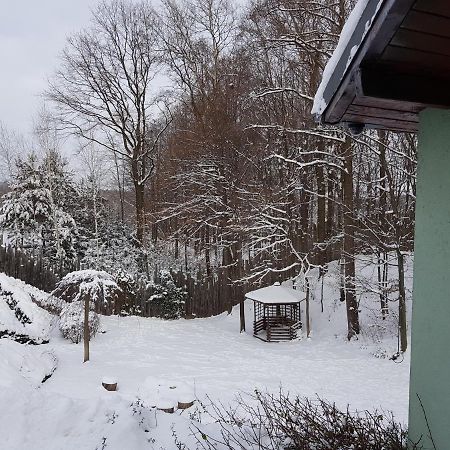 Vila Zielony Domek Bílsko-Bělá Exteriér fotografie